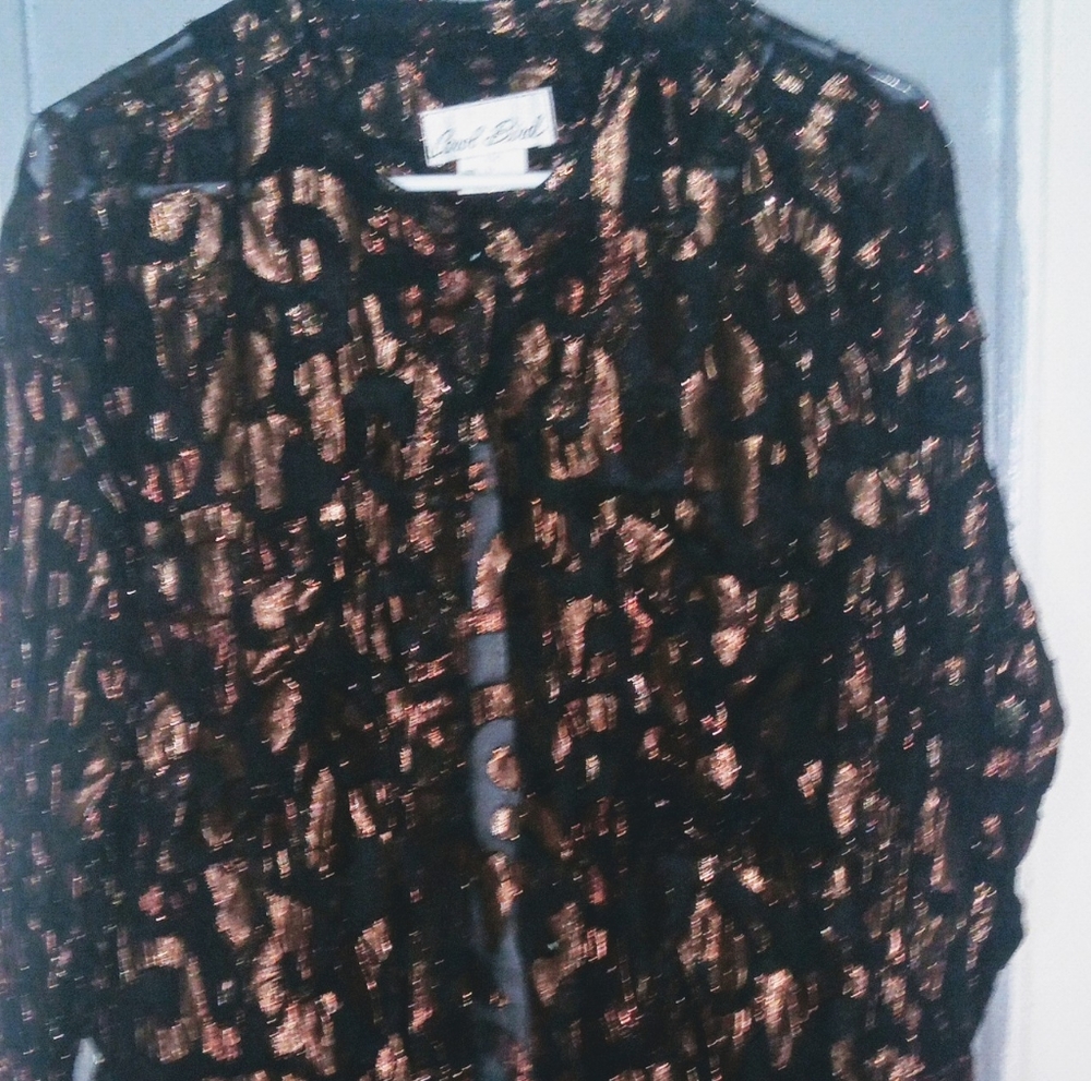 Women's dressy sheer top